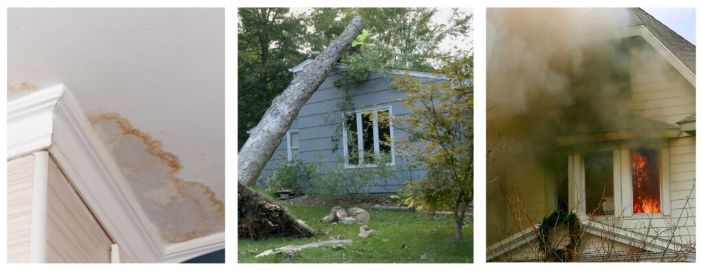 Tackling Water, Fire, Mold, and Storm Damage with Swift Expert Solutions.