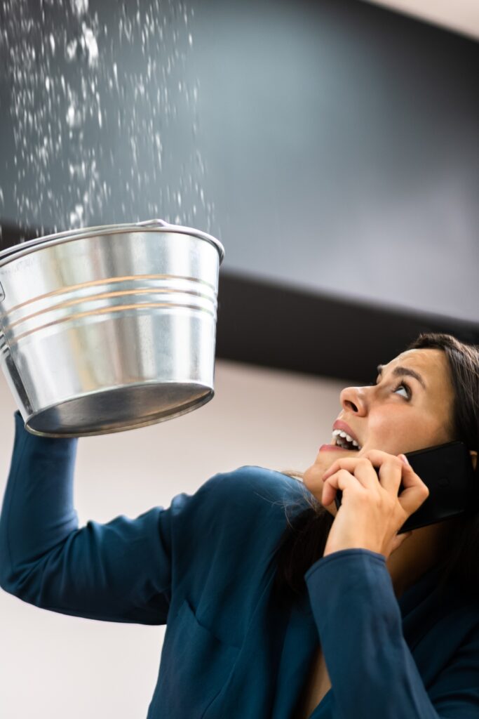 florida water damage services