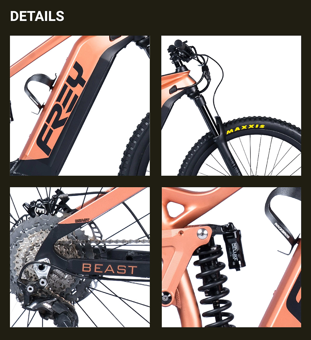VOYAGER EX BEAST 10