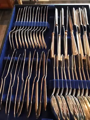 Un ensemble de couverts soigneusement rangés dans un tiroir aux lignes bleues vous attend. Achète cette collection composée de fourchettes, couteaux à beurre et cuillères, tous dotés d'une finition argent poli.
