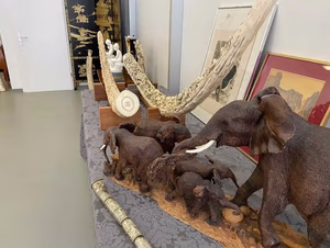 Une exposition d'éléphants en bois sculpté et de sculptures en ivoire complexes, dont de longues défenses et des figurines ornées, reflète ce que j'achète. Ces trésors sont disposés avec art sur une table ornée d'objets décoratifs et d'œuvres d'art encadrées en arrière-plan.