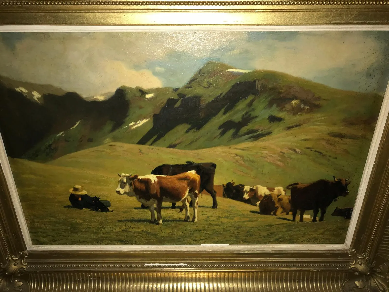 Vaches dans un paysage montagneux verdoyant encadré