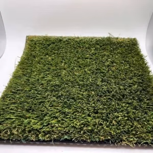 Turf 1