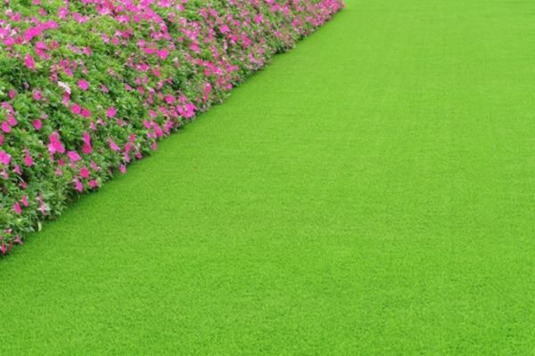 Artificial Turf Suppliers in San Luis Obispo, CA - Gallion Grass Artificial Turf Suppliers in San Luis Obispo, CA