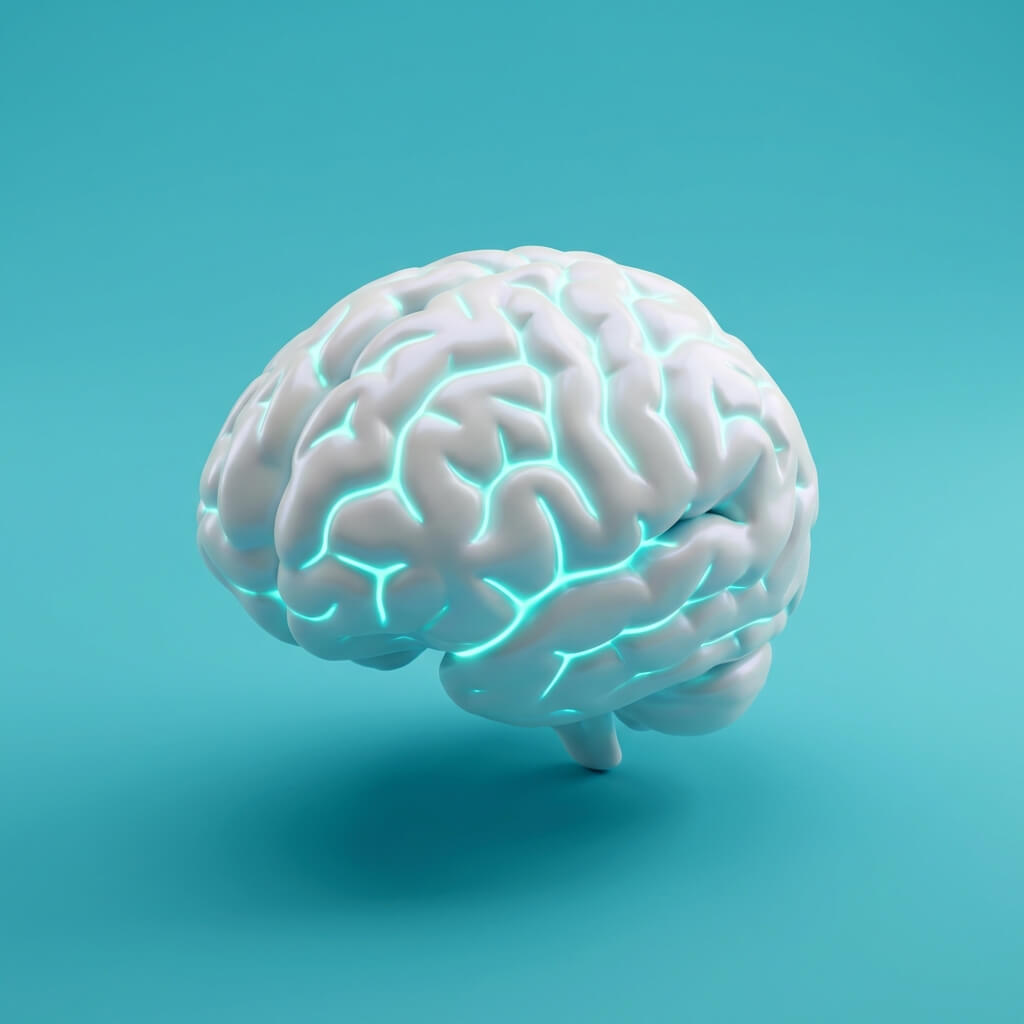 Learning Brain Neuroplasticity and Learning: How Your Brain Rewires