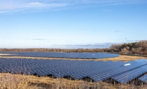 Solar Energy and Wildlife: Coexisting with Nature 3