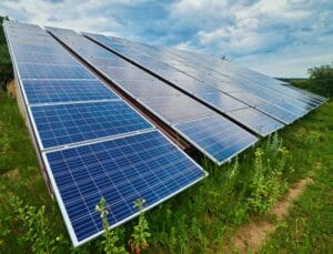 Solar Energy and Wildlife: Coexisting with Nature 6