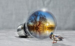 Renewable Revolution: The Impact of Solar Energy on the Environment 2