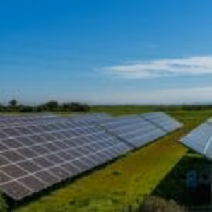 Solar Energy and Wildlife: Coexisting with Nature 11