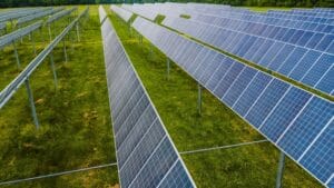 Solar Energy and Wildlife: Coexisting with Nature 1