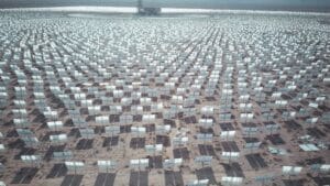 Solar Energy and Wildlife: Coexisting with Nature 2