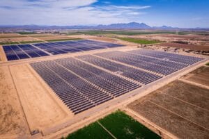 Solar Energy and Wildlife: Coexisting with Nature 4