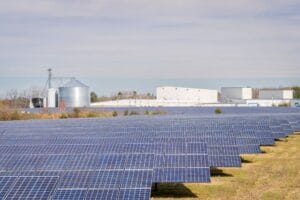 Solar Energy and Wildlife: Coexisting with Nature 5