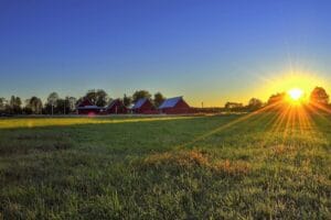 Renewable Revolution: The Impact of Solar Energy on the Environment 4