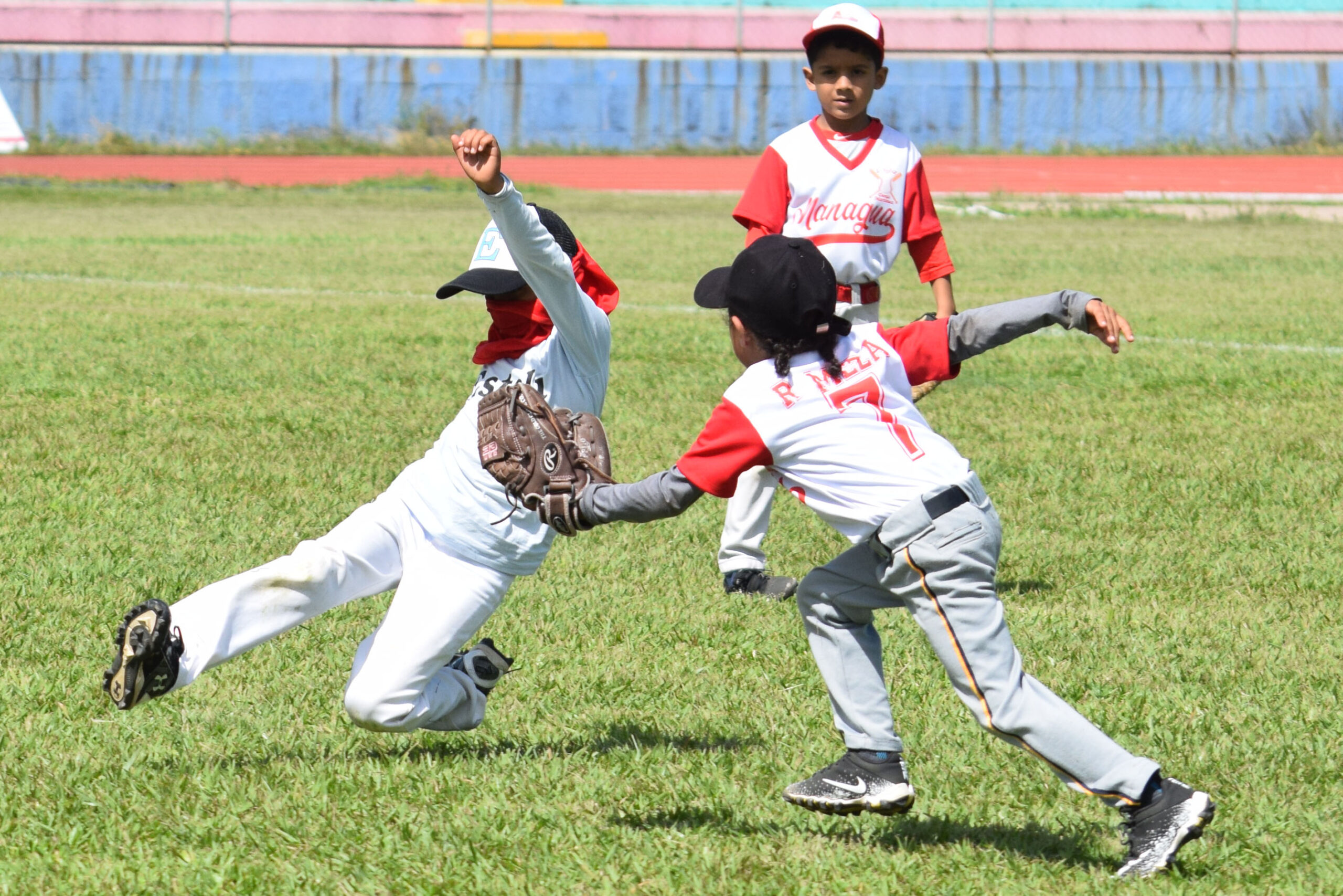 Diciembre cargado de béisbol