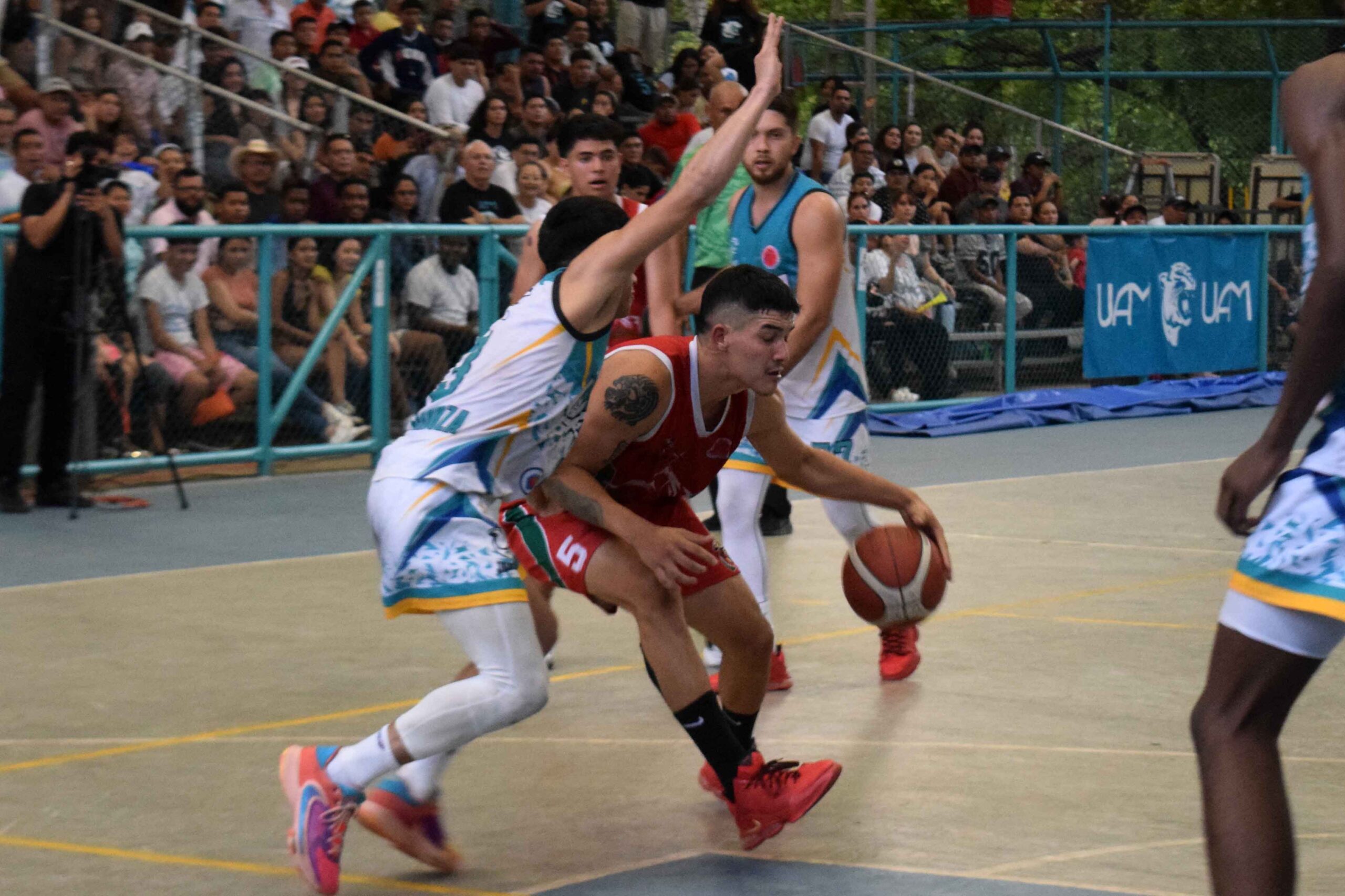 Felinos del baloncesto buscan coronarse en las brumas
