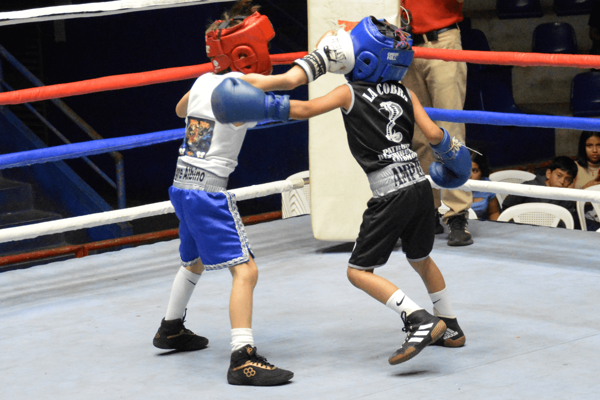 Pequeños con gran boxeo