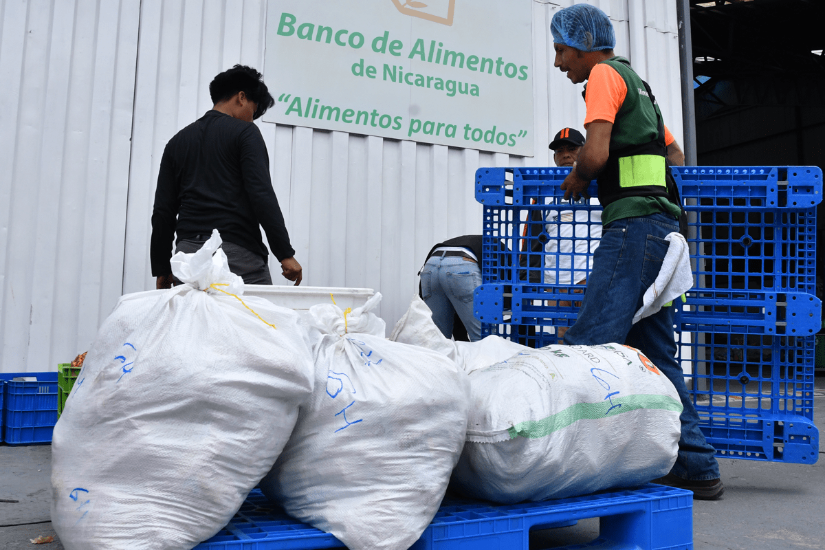 Banco-de-Alimentos-jj–3745