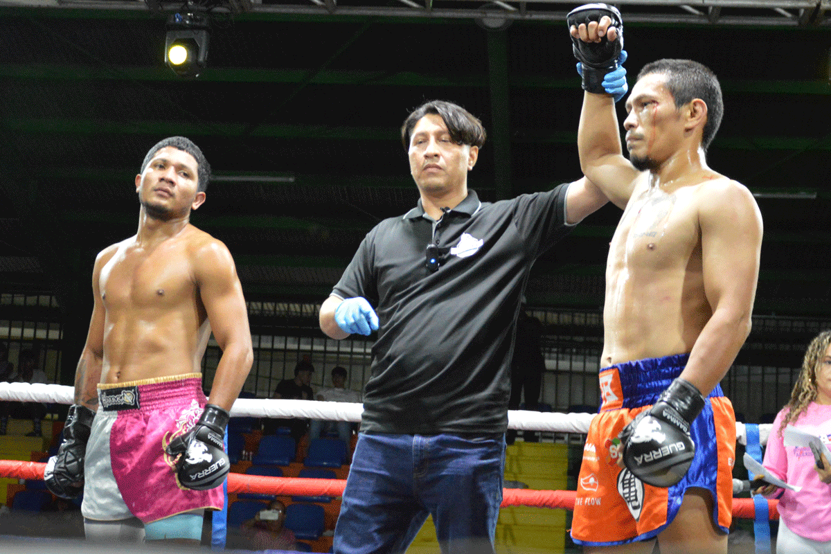 MMA_1561
