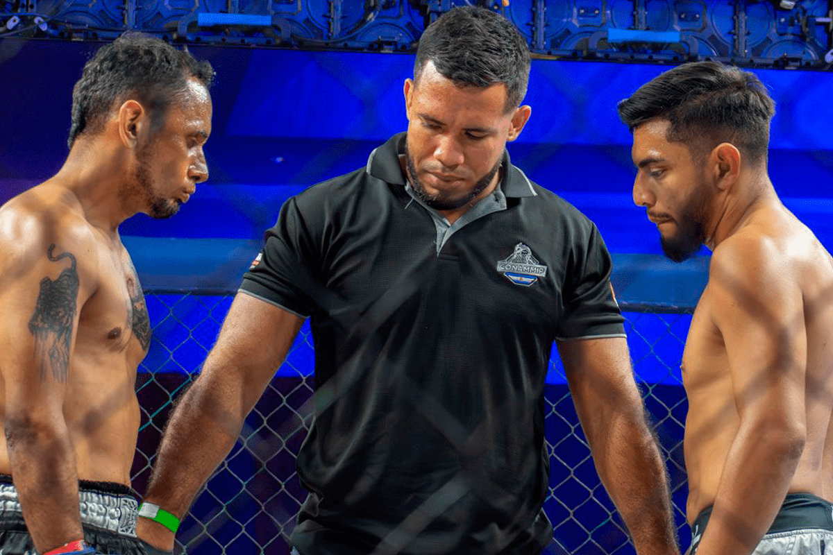 MMA web (8)