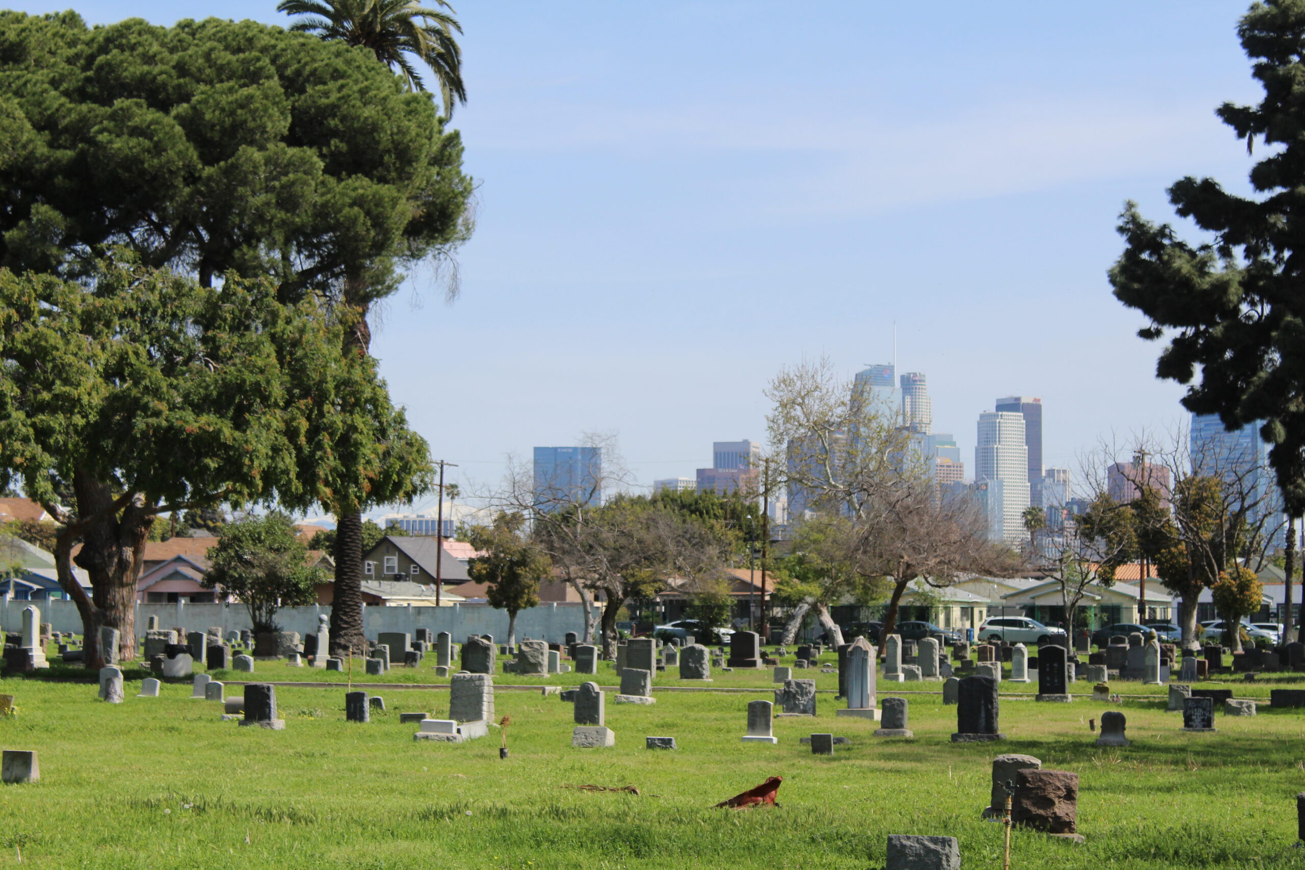 Cemetery Plots: Find Burial Plots for Sale Near You