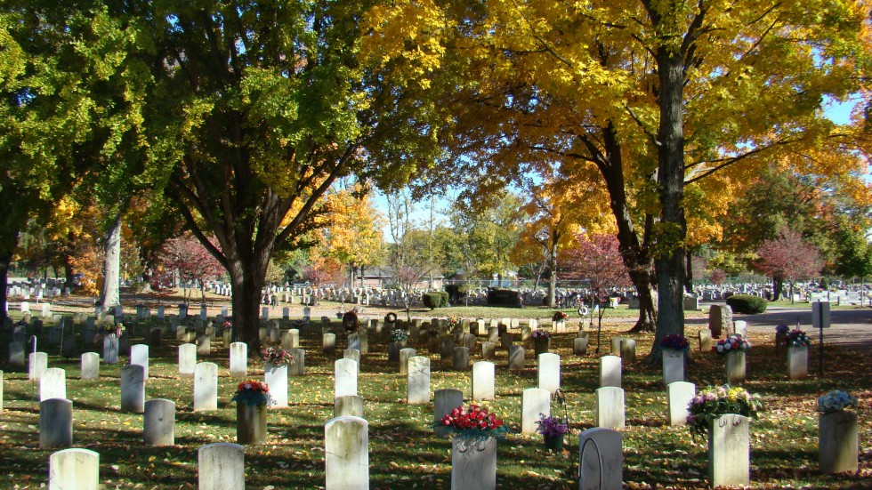Graveyard Near Me: Find Burial Plots for Sale Locally