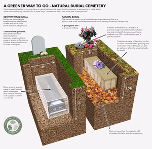 Natural Burial: The Complete Guide to Burial Plots for Sale in North America
