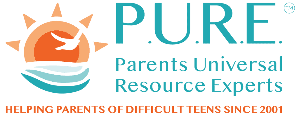 PURE logo featuring a modern design with bold letters, representing the peer support initiative for teens.
