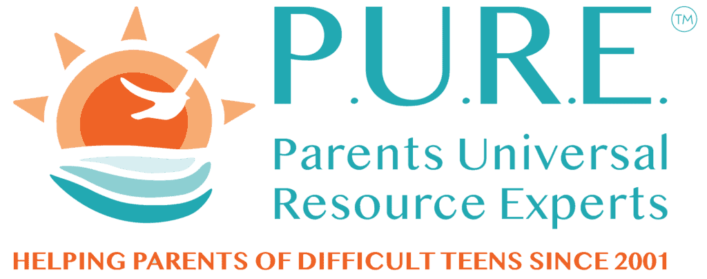 PURE logo featuring bold letters in a modern font, symbolizing support for teens and families.
