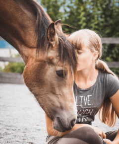 PixabayGirlHorse therapeutic boarding schools for troubled teens - A young girl sitting on a brown horse in a grassy field, symbolizing the he