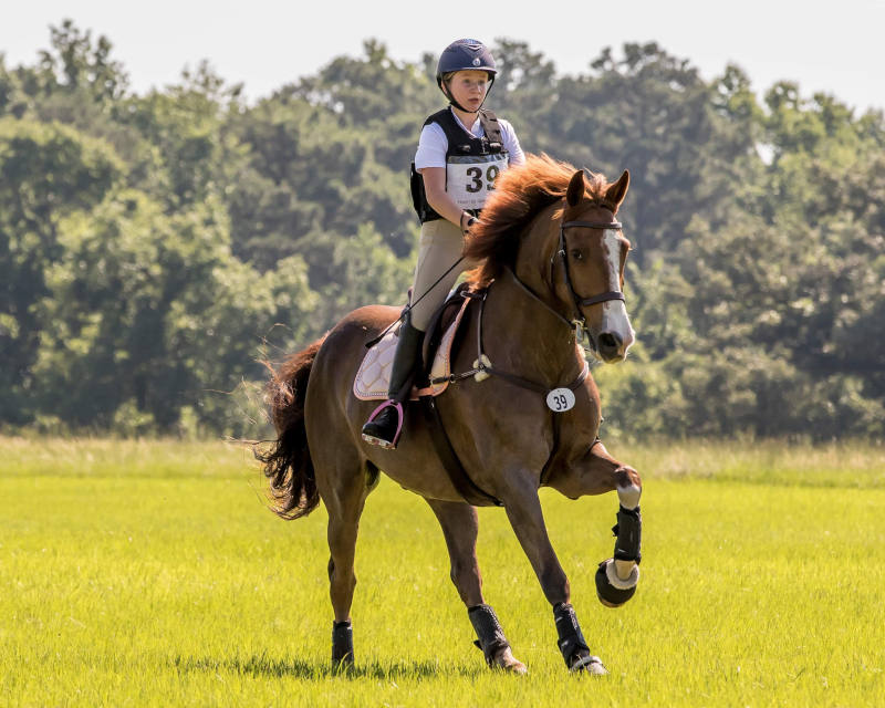 horse-rider-eventing-competition A rider in a helmet and numbered vest rides a brown horse with white markings on a grassy field, surrounded by trees in the background. The horse has one front leg raised as they move forward.