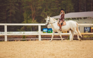 TriState Dressage Show