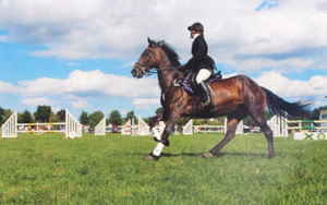 USEA Schooling Horse Trials
