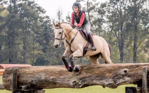 USEA Schooling Horse Trials