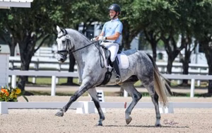 John Mason Dressage Clinic