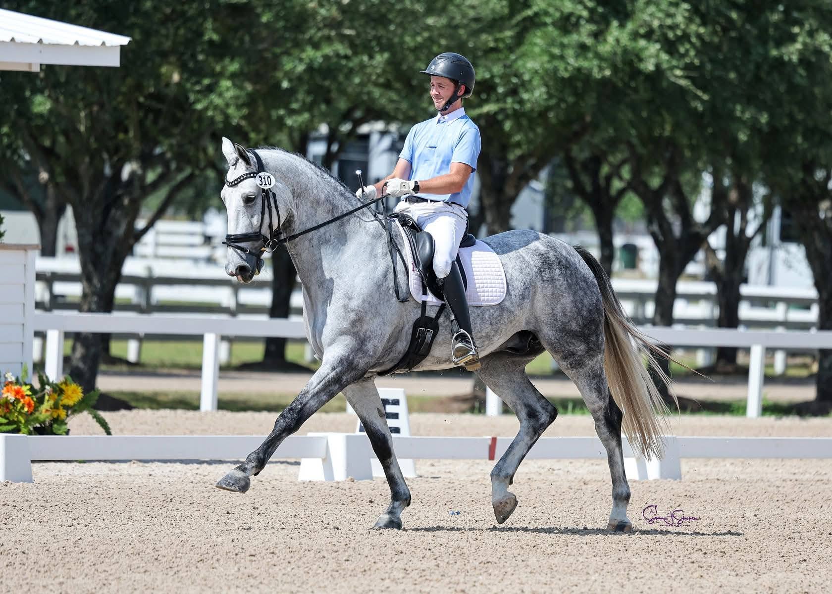 John Mason Riding Dressage