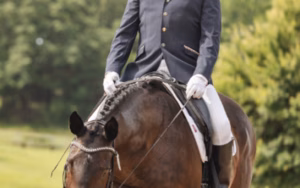 Tri-State Dressage Society Schooling Show