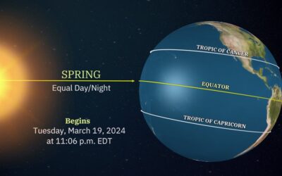 Blogs 9 Spring Equinox Reset: Why the Body Naturally Craves Detox and Renewal in March