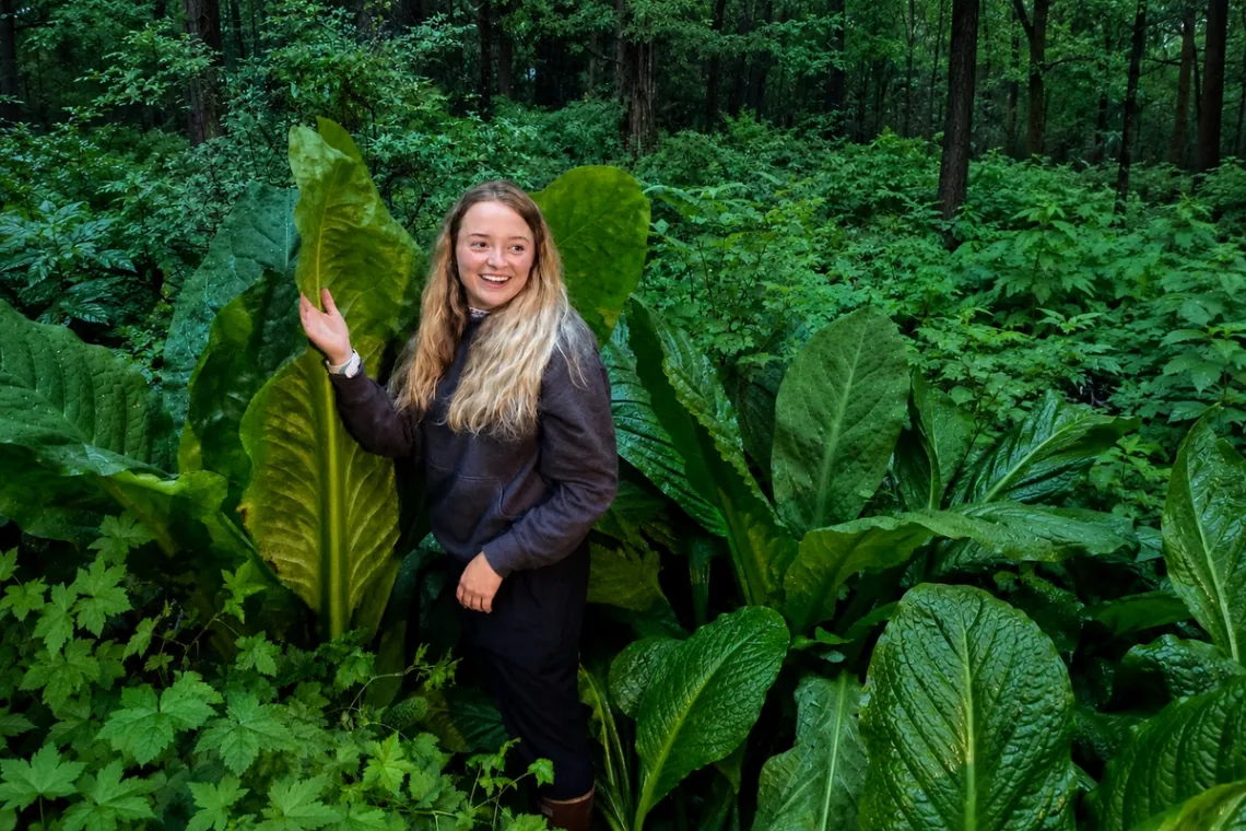 Walking from Cruise Ship in Juneau: Distances & Port Tips 1 1200x800 Juneau alpine segway deep rainforest thick brush tour