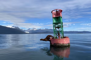 Iride Alaska Blog 11 Walking from Cruise Ship in Juneau: Distances & Port Tips