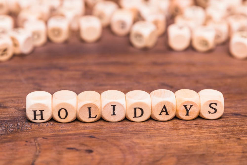 Iride Alaska Blog 37 iRide Alaska Wishes You a Joyous Holiday Season