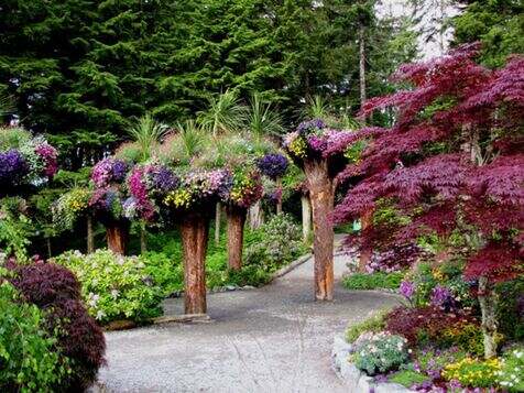 Hidden Gems in Juneau: The Best Places to Visit for Every Kind of Traveler 3 Glacier Gardens Upside Down Forest