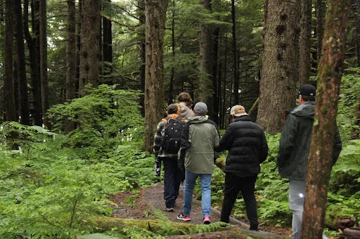 Is It Safe to Go into the Alaska Rainforest? What You Need to Know Before You Explore 1 Explore Alaska Rainforest