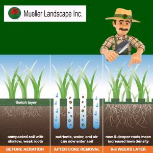 Core Aeration Service