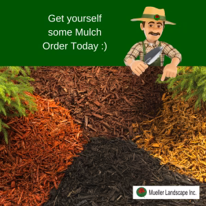mulch service