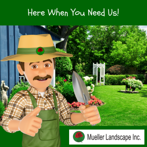 Tierrasanta Gardening