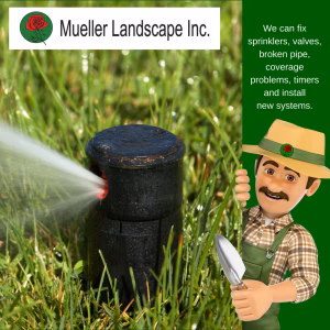 Irrigation and sprinkler repair