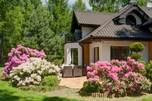 house-with-bush-landscape-new