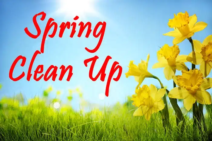 Revitalize Your Yard with Our Spring Clean-Up Services!