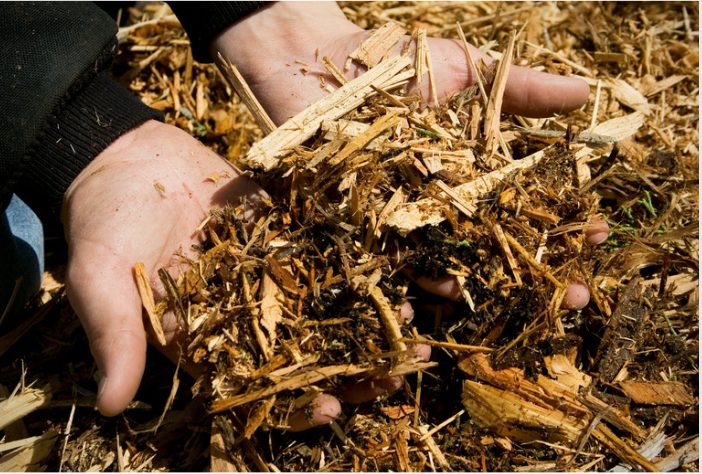 Native Garden Mulching – Why bother - Natives R Us Traveston Native Plant Nursery